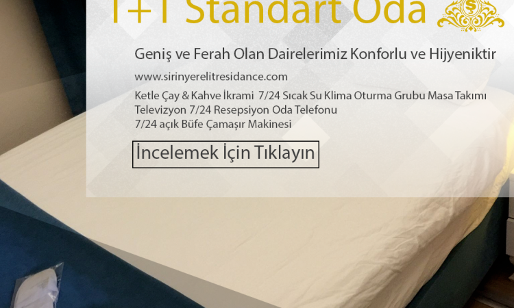 1+1 Standart Daire 